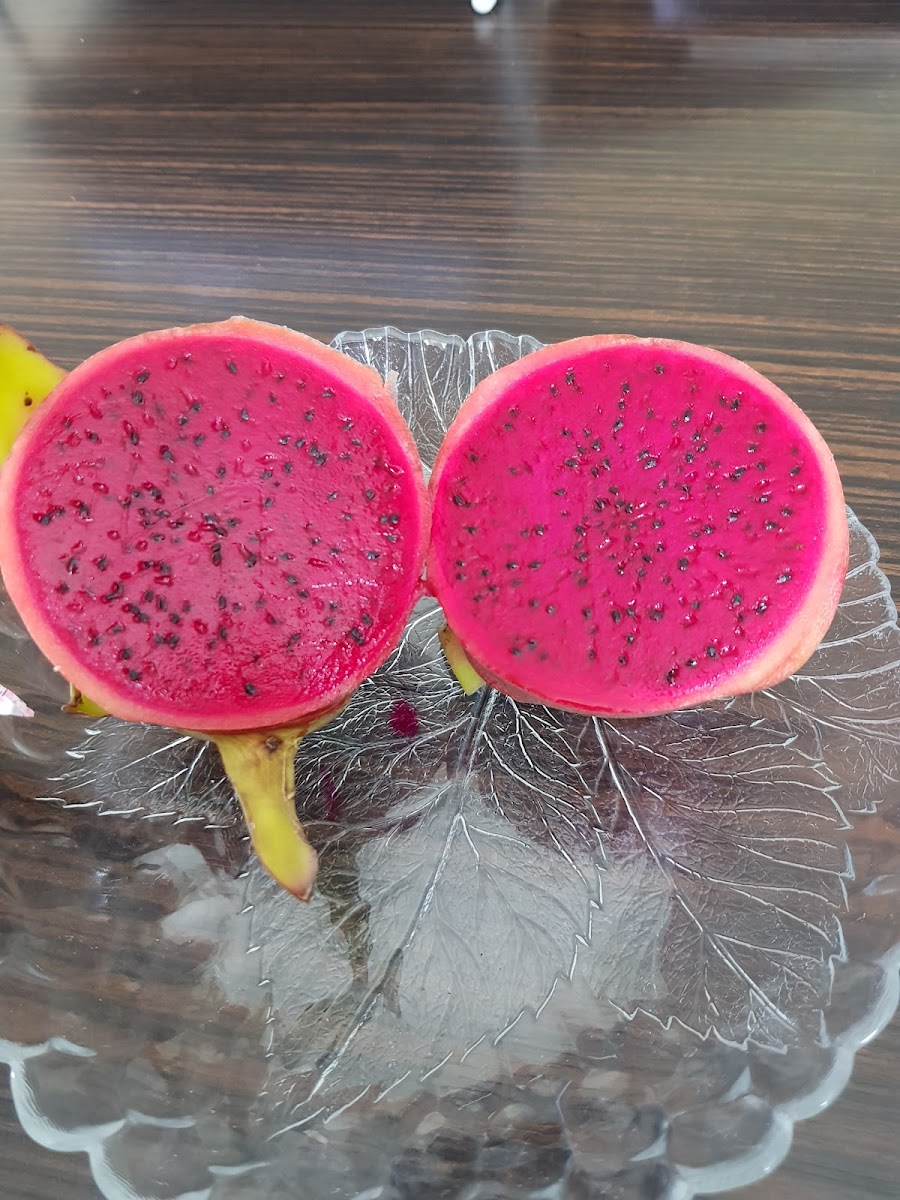 4A Sebze Meyve A.Ş. Yeme İçme hizmetleri Manavgat