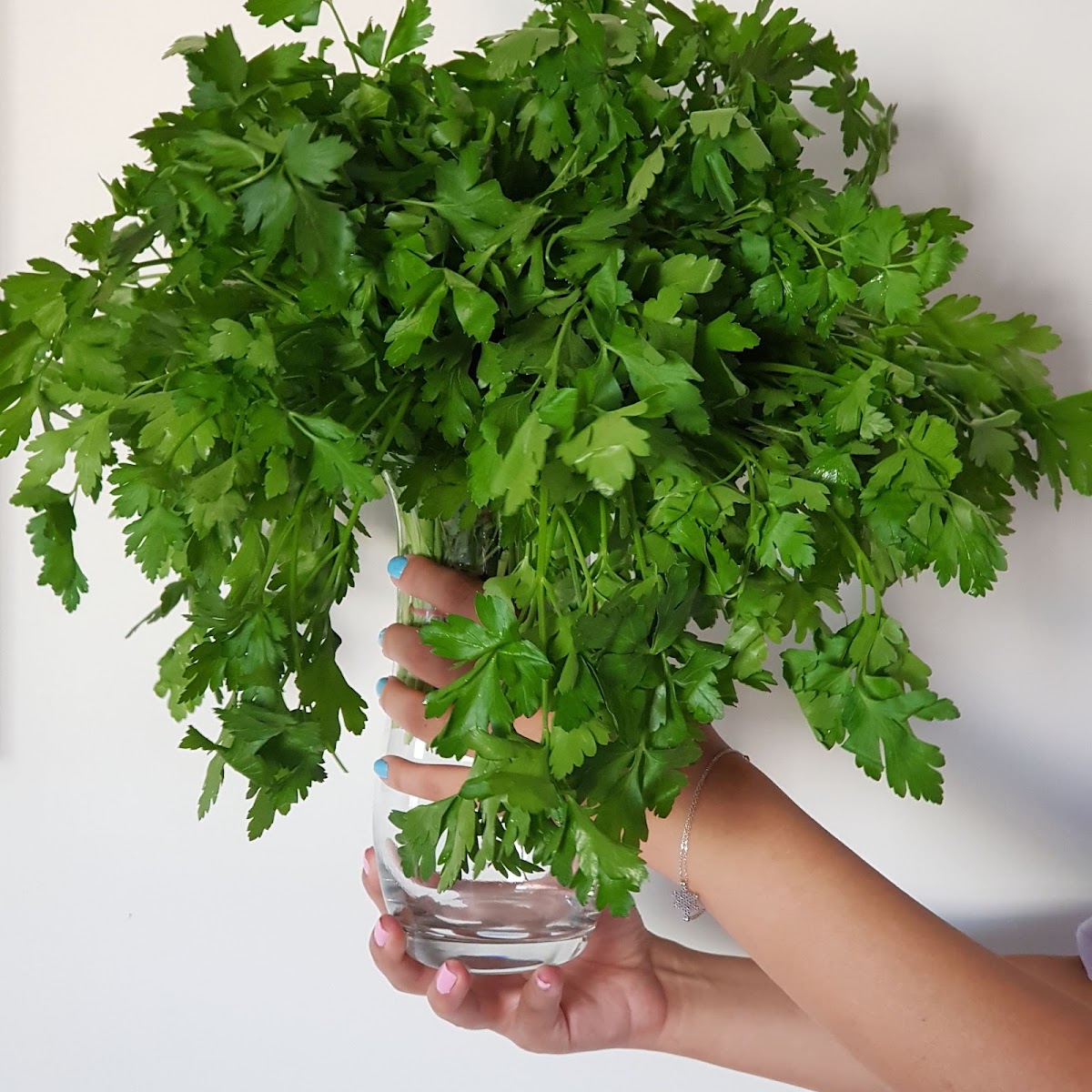 4A Sebze Meyve A.Ş. Manavgat