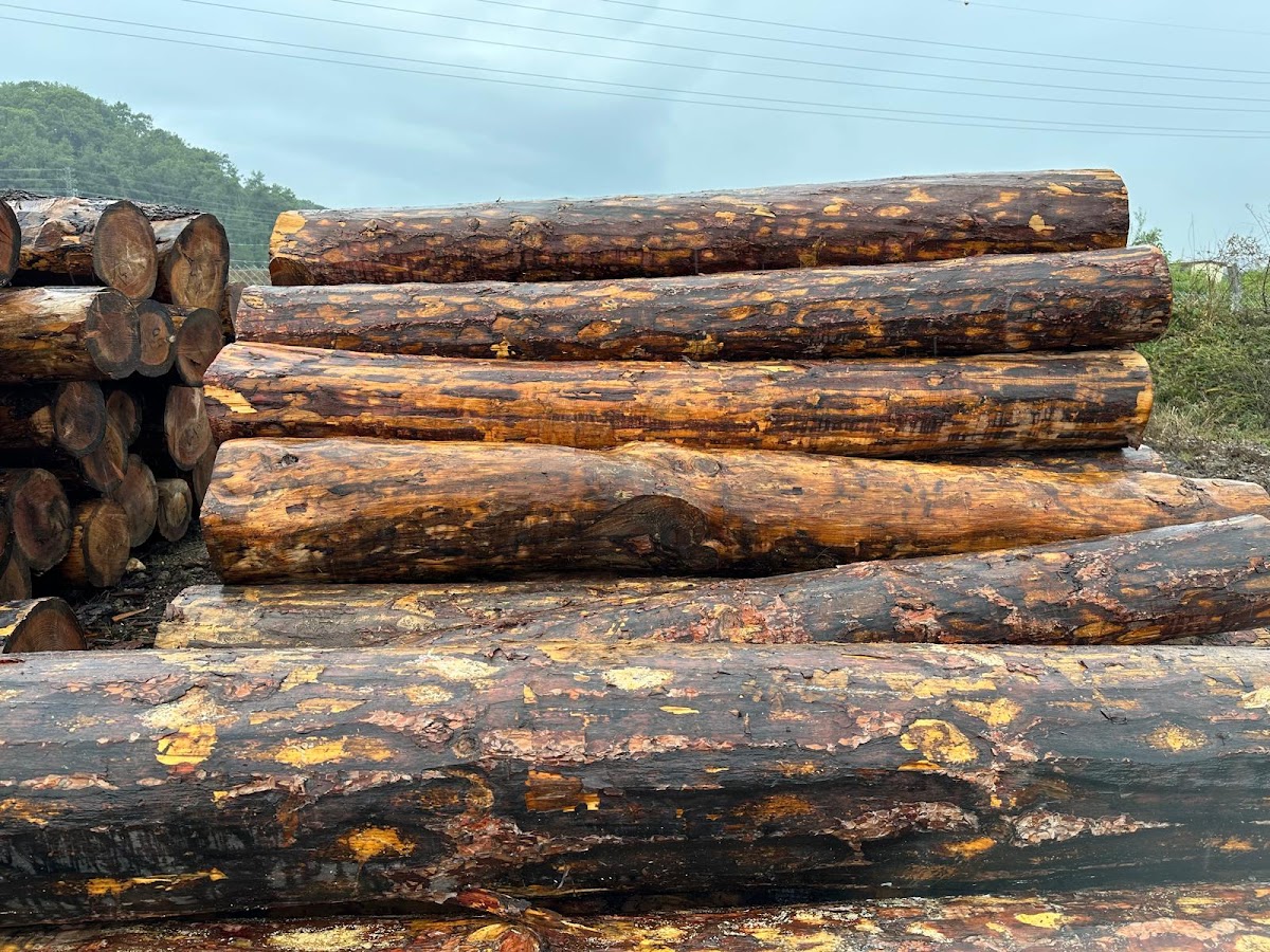 Ahşap Parke ve Orman Ürünleri Kaplan Kereste Doğr. — Manavgat Antalya