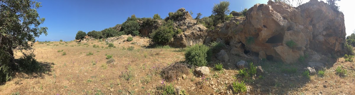 Alara Zeytinyağı Fab Yeme İçme hizmetleri Manavgat