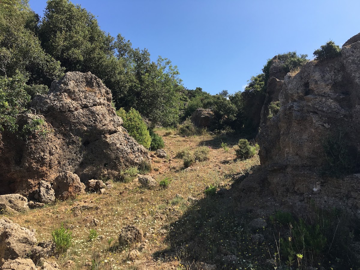 Alara Zeytinyağı Fab Manavgat