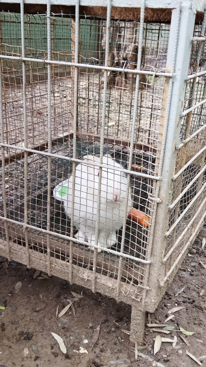 Anaokulu ve Kreşler Yağmur 3-6 Yaş Eğitim Merkezi — Manavgat Antalya