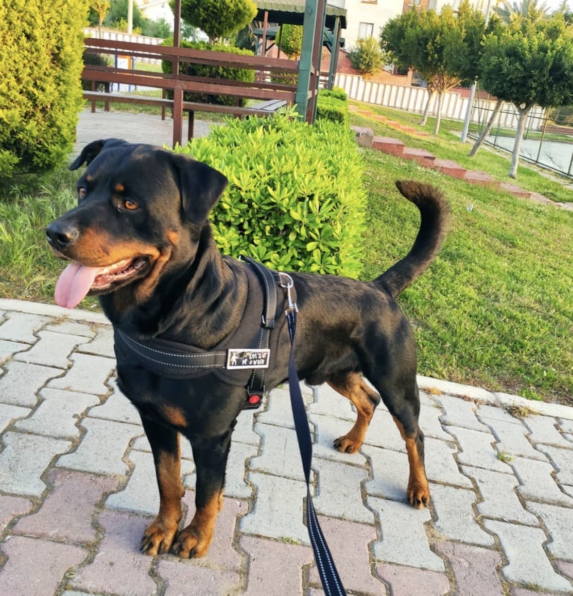 Anıma Veteriner Kliniği Manavgat