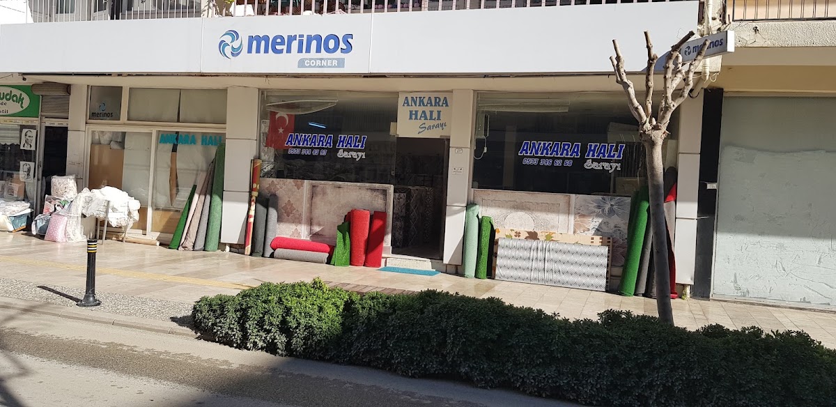 Ankara Halı Sarayı Mobilya ve Ev Tekstili hizmetleri Manavgat