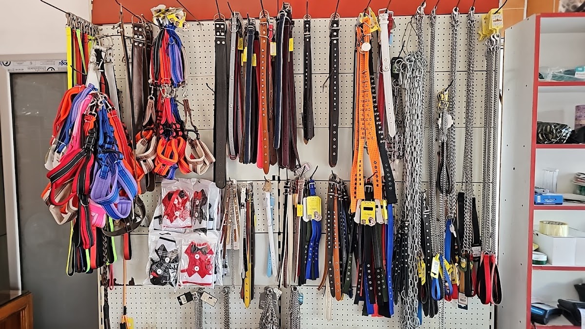 Arif Kökçam Sağlık hizmetleri Manavgat