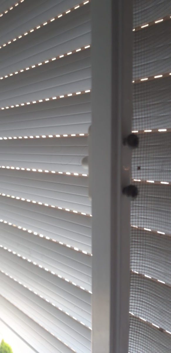 Avukatlar Harun Arıcı — Manavgat Antalya