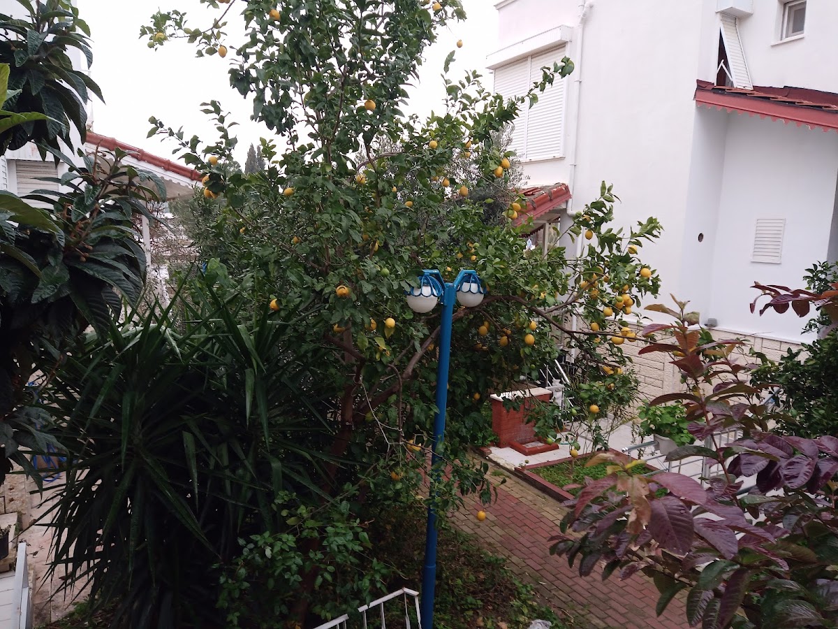 Belkıs Sılber Haus Güzellik ve Takı hizmetleri Manavgat