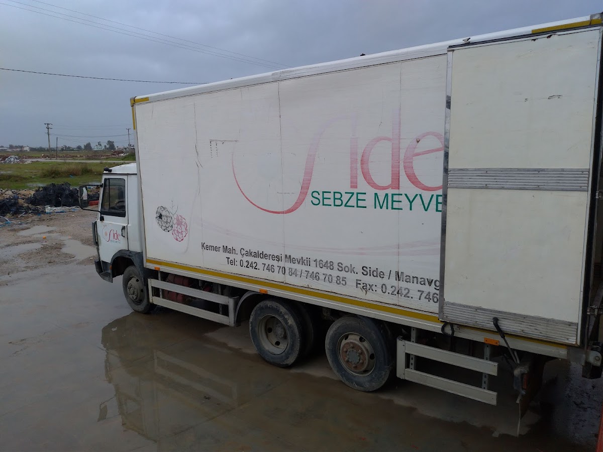 Beylerbeyi Yaş Sebze Meyve Yeme İçme hizmetleri Manavgat