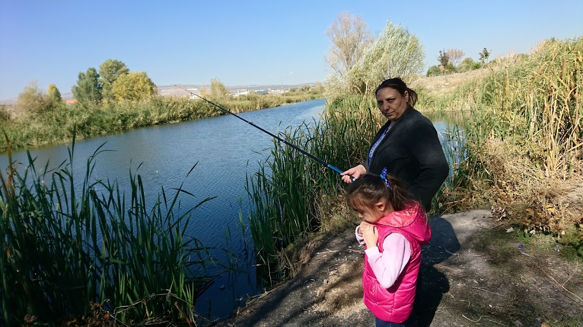 Birsen Toptan Baharat Yeme İçme hizmetleri Manavgat