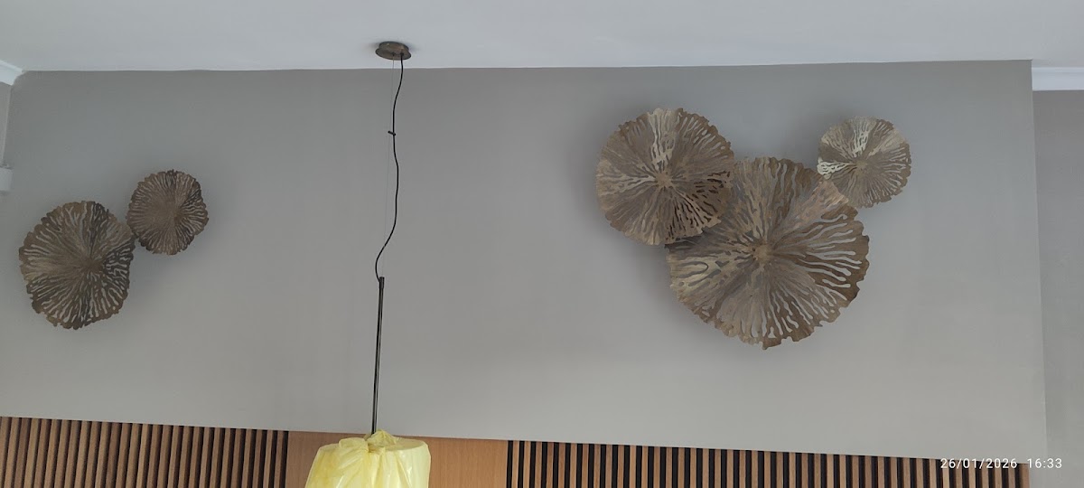 Boyacı Ltd. Şti. İnşaat Yapı hizmetleri Manavgat