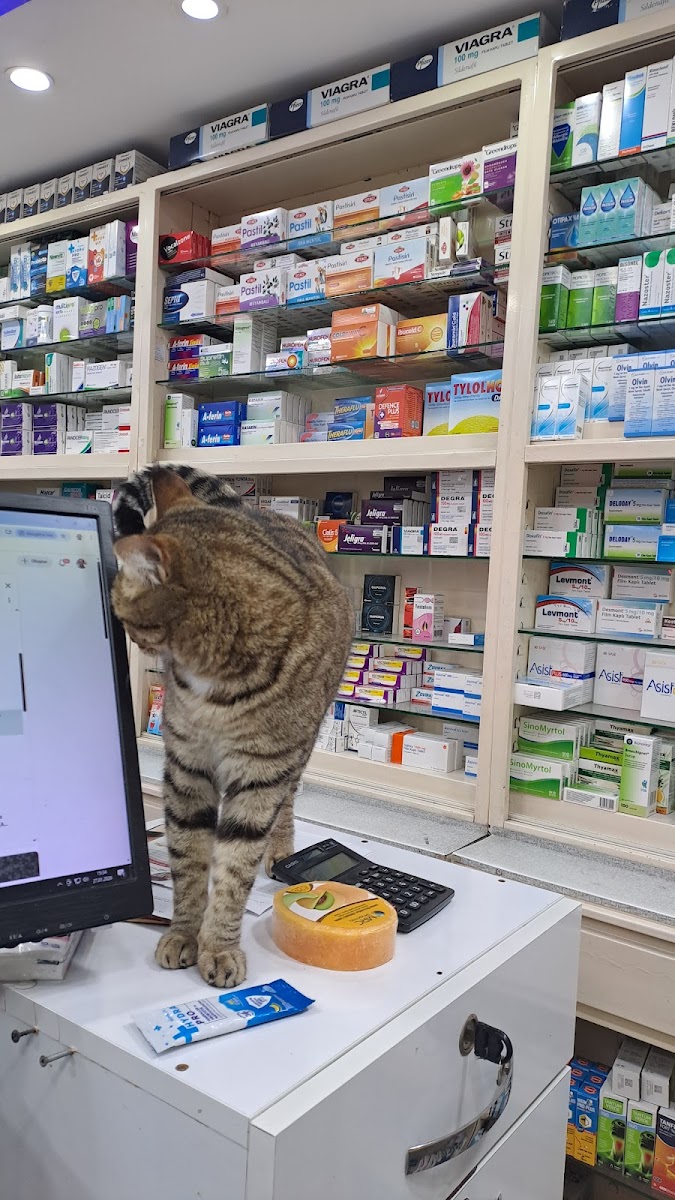 Çağlayan Eczanesi Sağlık hizmetleri Manavgat