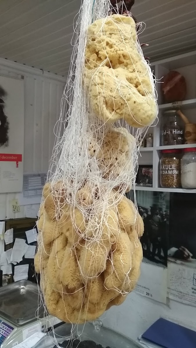 Çelik Baharat Yeme İçme hizmetleri Manavgat