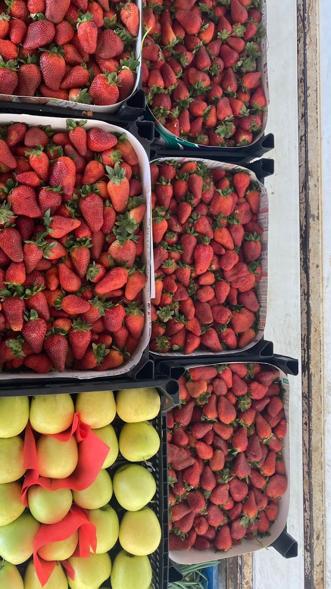 Çelikoğulları Manavgat