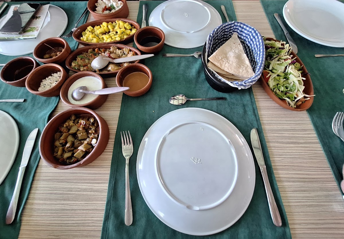 Diş Hekimi ve Klinikleri Ayça Can — Manavgat Antalya