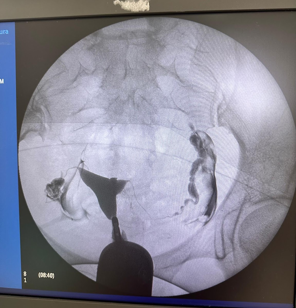 Doktorlar Kaan Sağlam — Manavgat Antalya