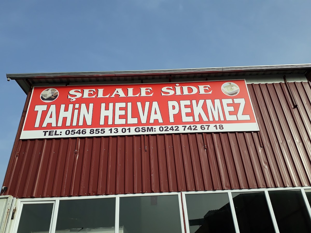 Ece Baharat Kuru. Lokum Manavgat