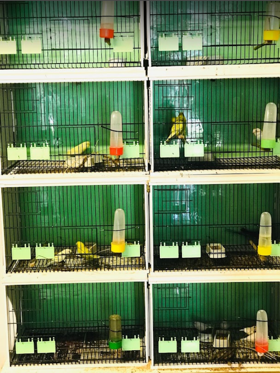 Efe Veterinerlik Hizm. Sağlık hizmetleri Manavgat