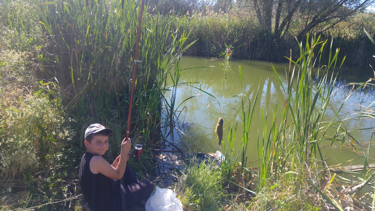 Gıda Toptancıları Birsen Toptan Baharat — Manavgat Antalya