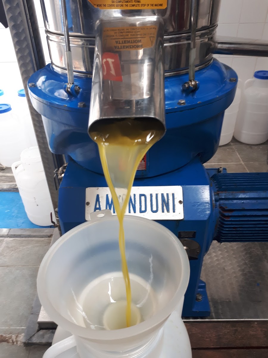 Gıda Toptancıları Side Zeytinyağı Fabr. — Manavgat Antalya