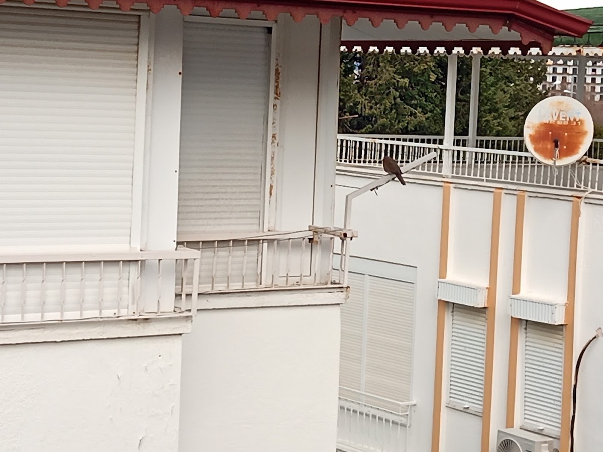 Gümüşçüler Belkıs Sılber Haus — Manavgat Antalya