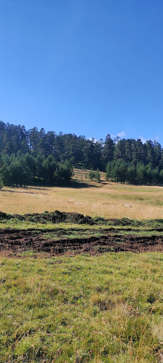 Ilıca Belediyesi Manavgat