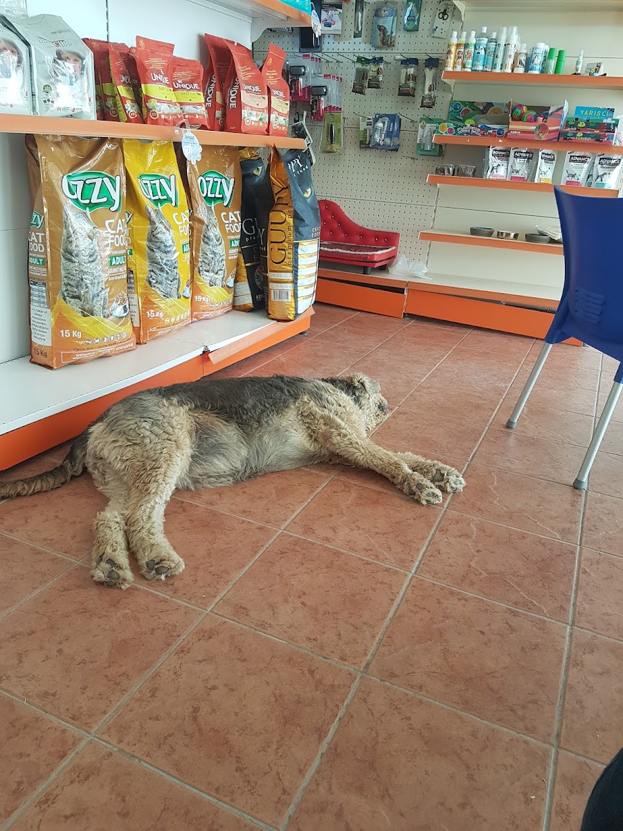 Kubilay Veteriner Kliniği Sağlık hizmetleri Manavgat