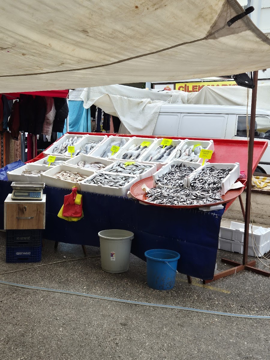 Lava Cafe & Pastane Manavgat