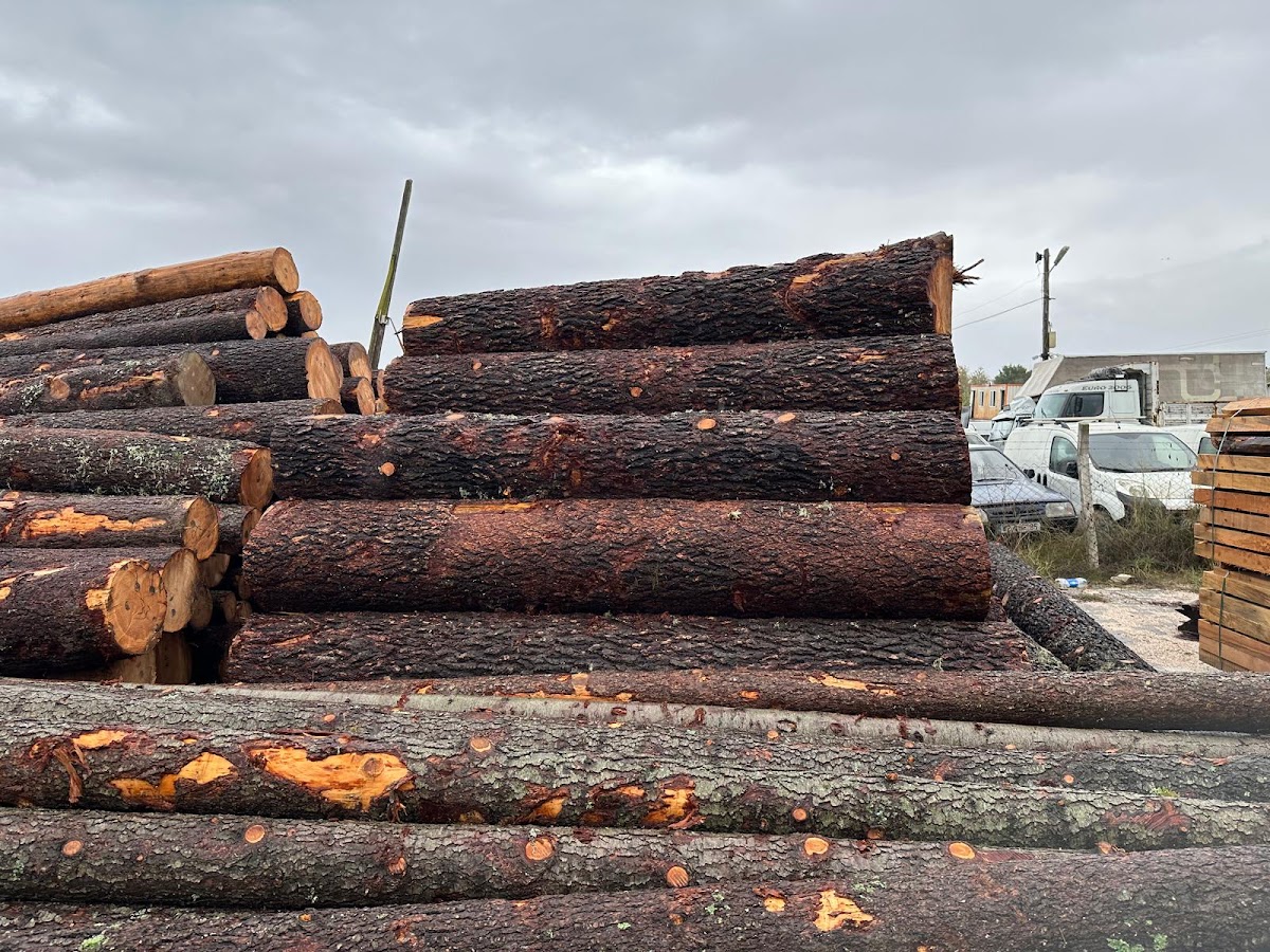 Döşen Kereste Manavgat