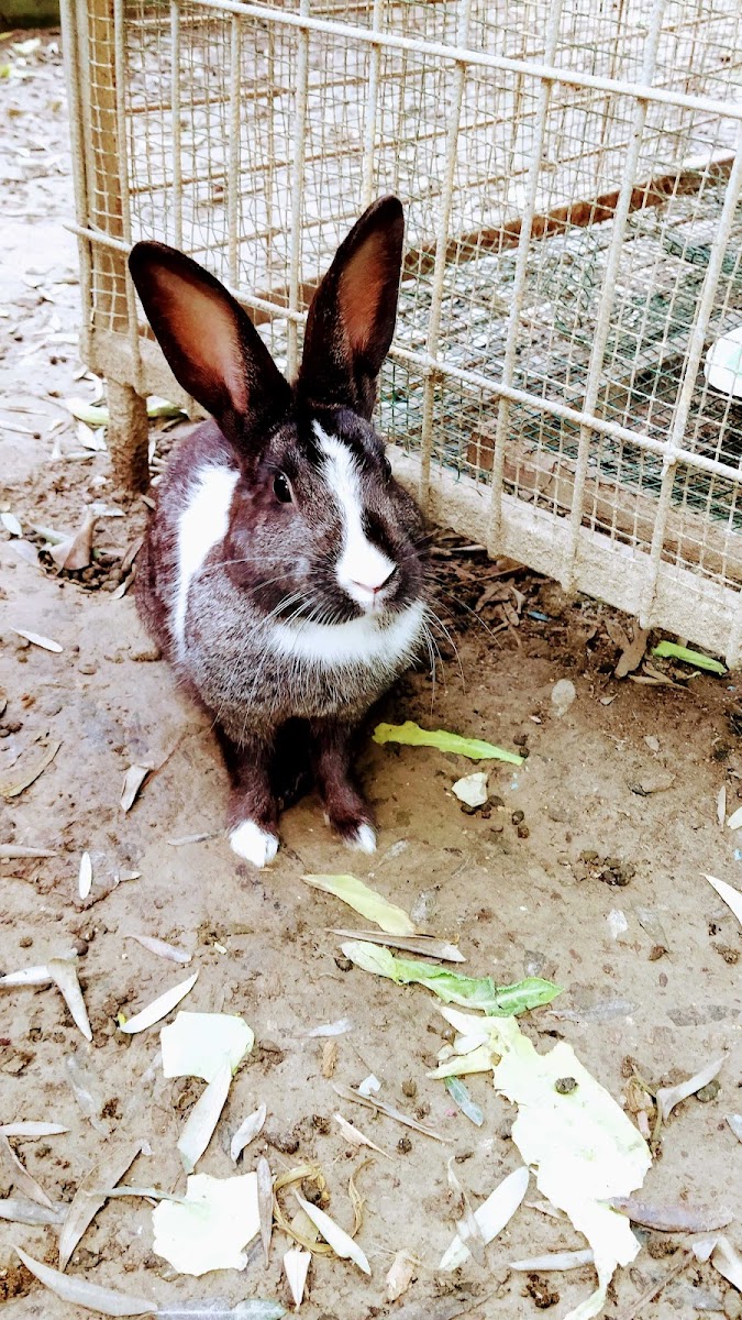 Yağmur 3-6 Yaş Eğitim Merkezi Manavgat