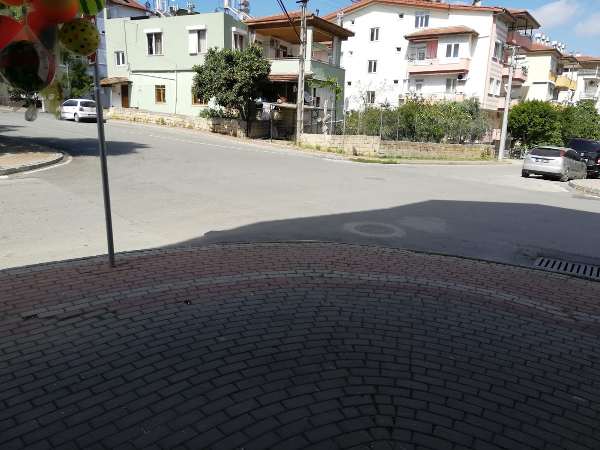 Özlem Şalgam Manavgat