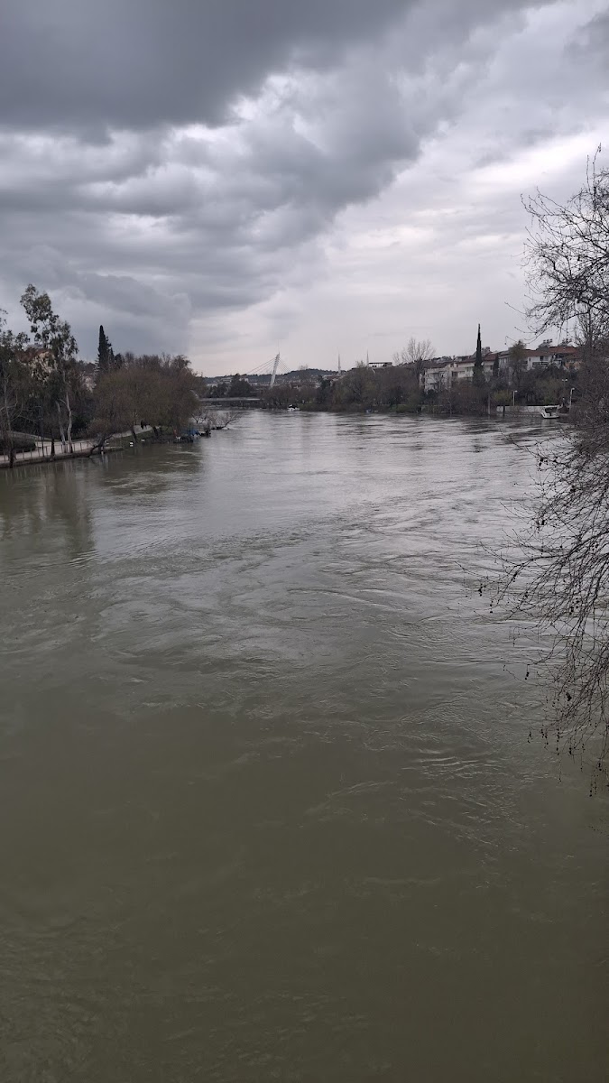 Dilek Eczanesi Manavgat