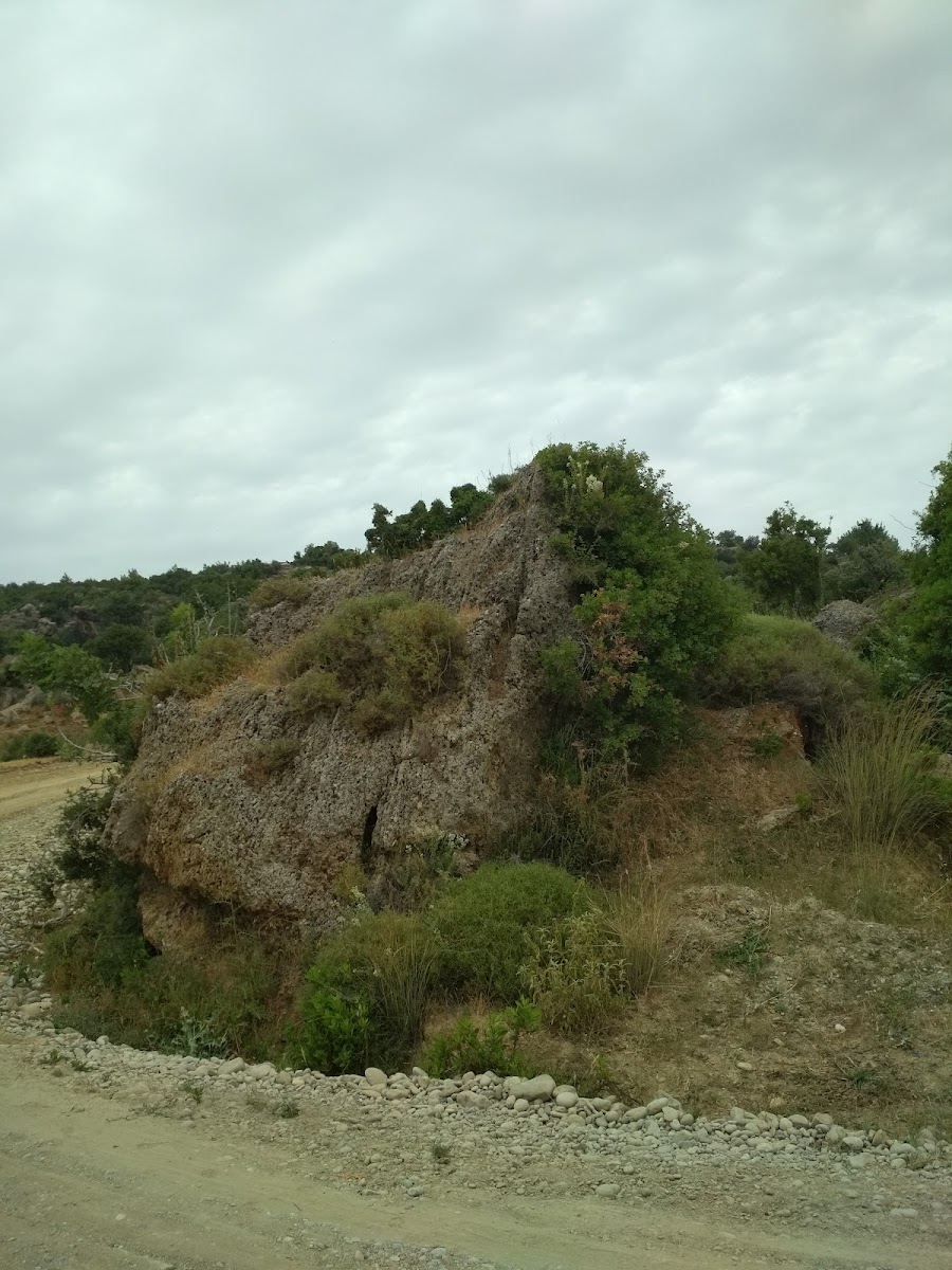 Alara Zeytinyağı Fab Manavgat