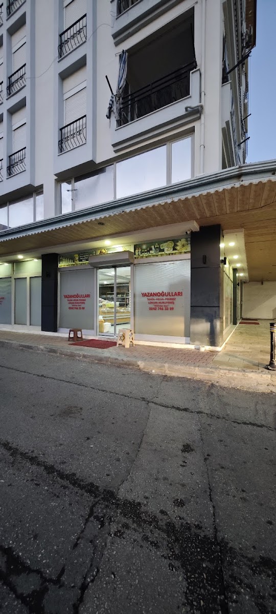 Kadiryazanoğulları Gıda Manavgat