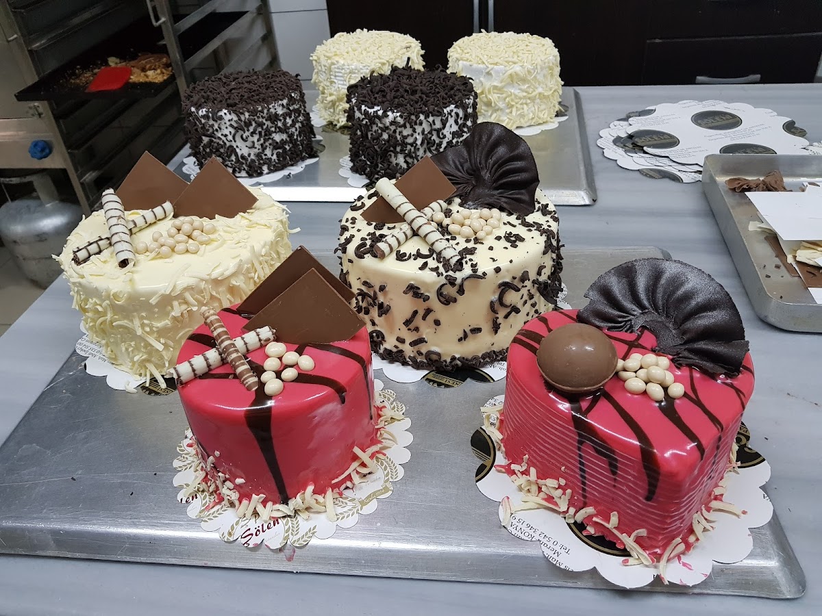 Şölen Bölge Bayii Manavgat