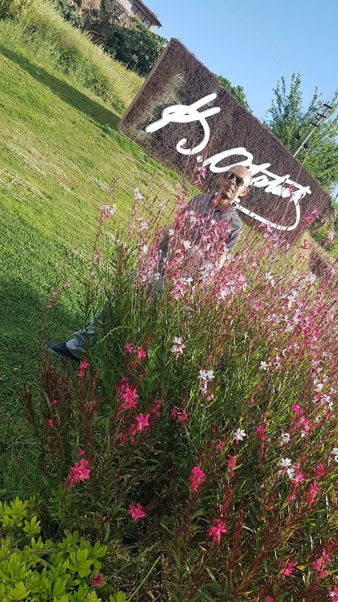 Aydın Kuaför Manavgat