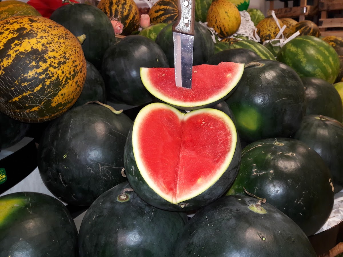 Paşa Manav Manavgat