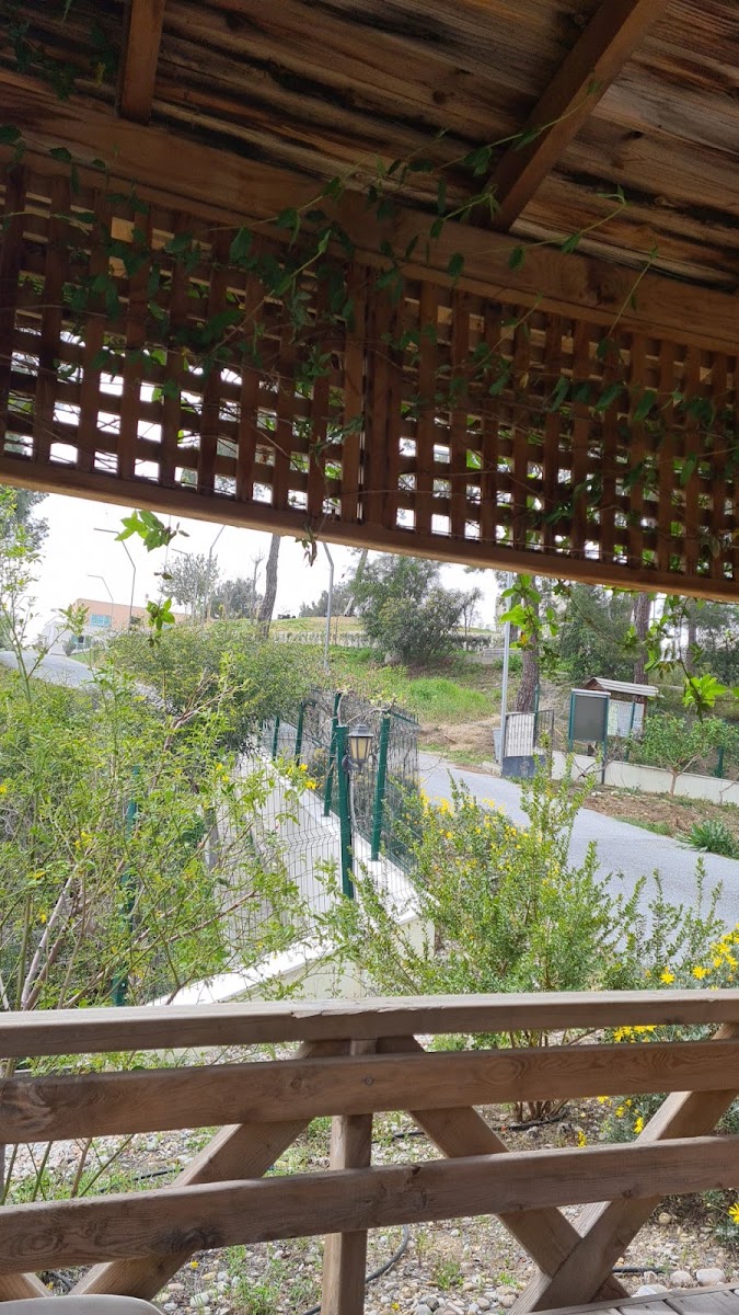 Meteoroloji Müdürlüğü Manavgat