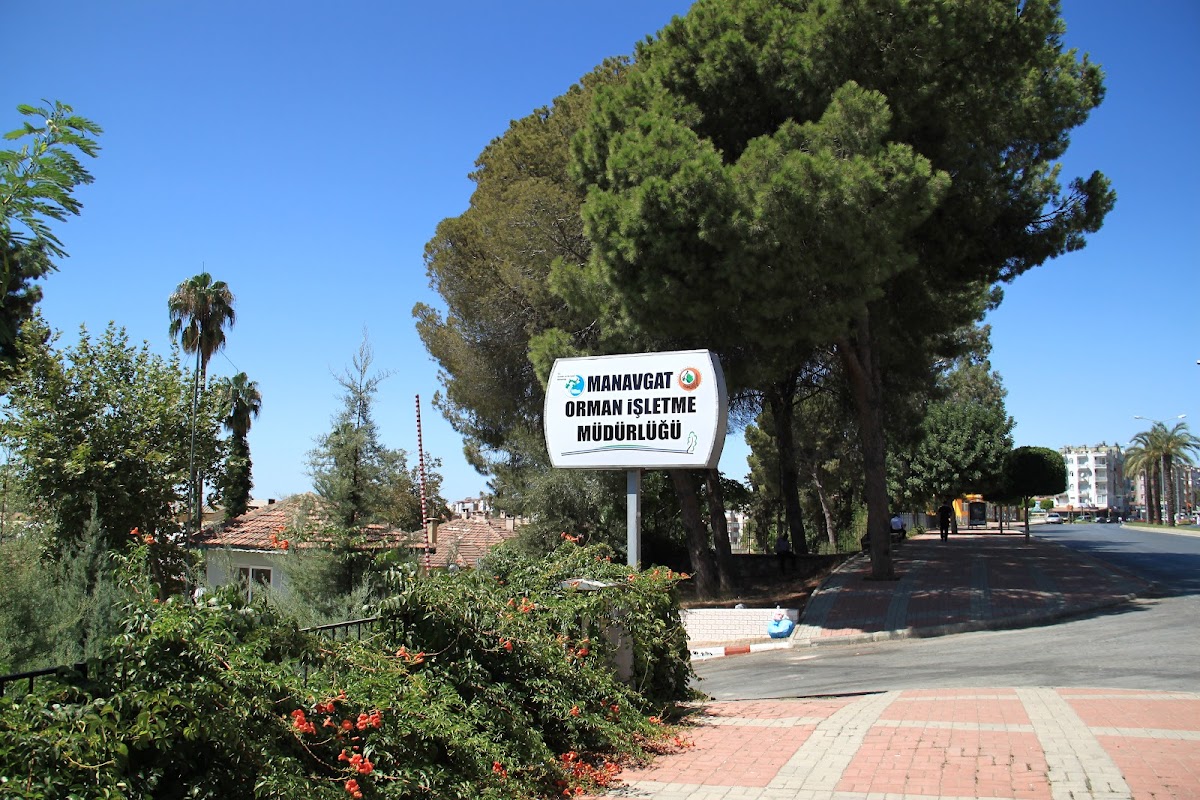 Orman İşletme Müdürlüğü Manavgat