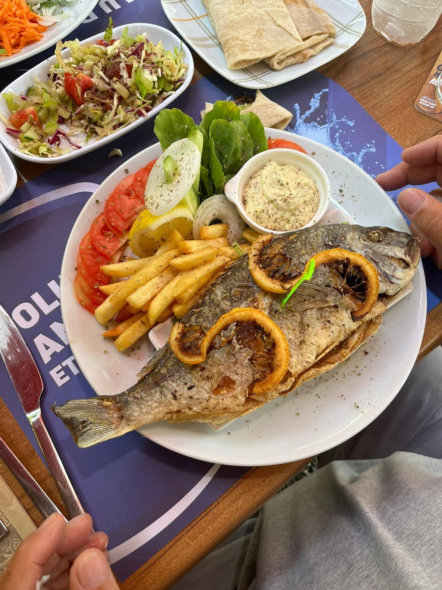 Lezgin Çetin Manavgat