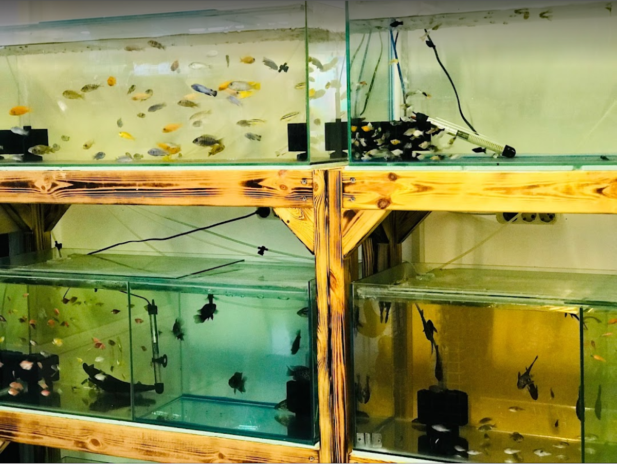 Efe Veterinerlik Hizm. Manavgat