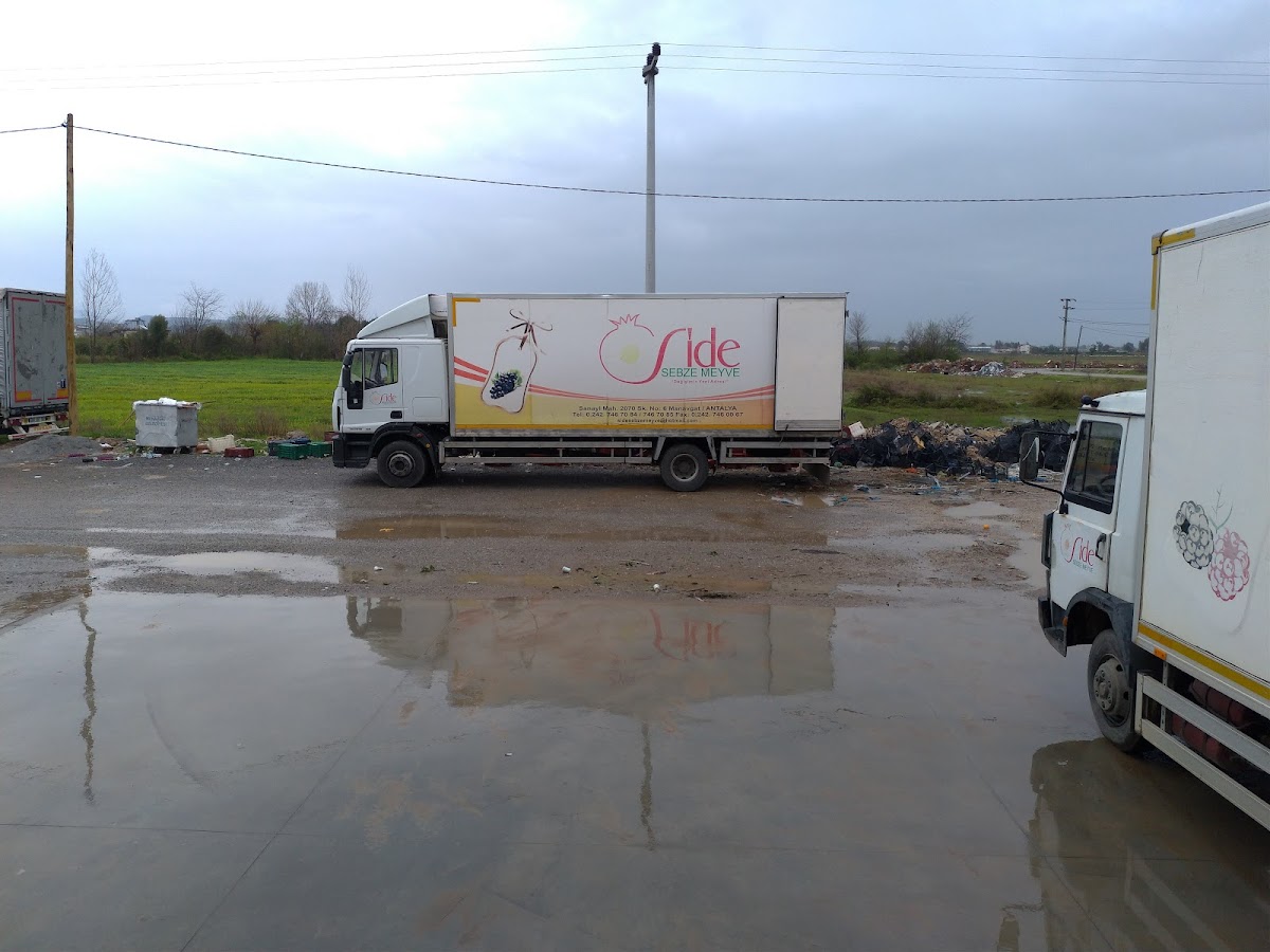 Manavlar Beylerbeyi Yaş Sebze Meyve — Manavgat Antalya