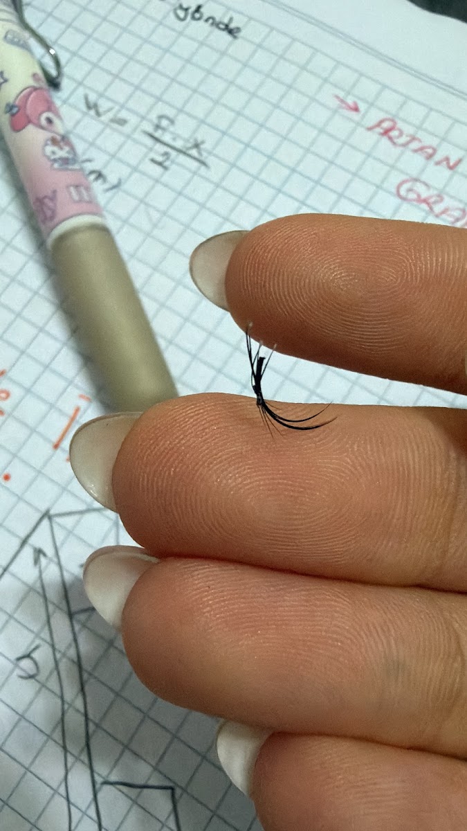 Mefruşat ve Perde As İpek — Manavgat Antalya