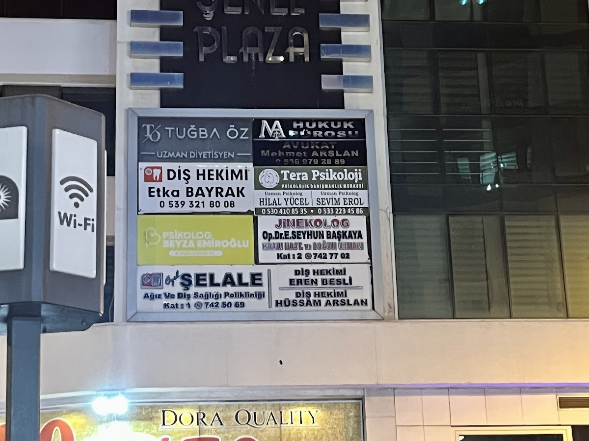 Mehmet Arslan Manavgat