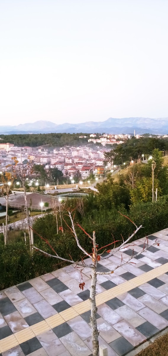 Müdürlükler Vergi Dairesi Müdürlüğü — Manavgat Antalya