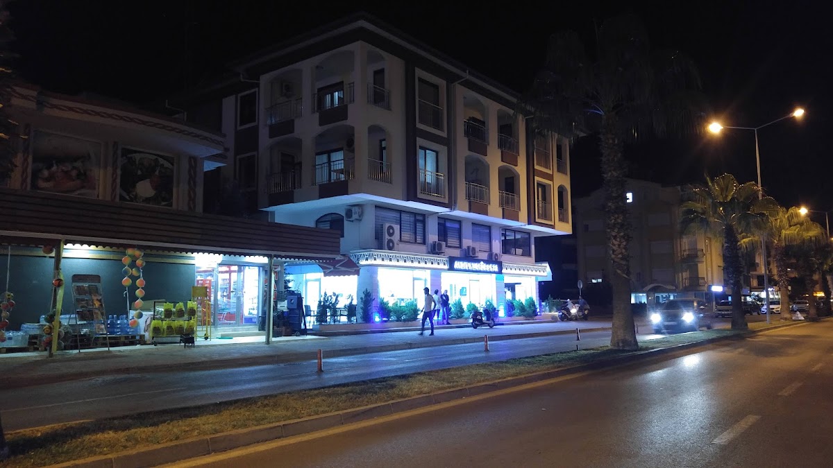 Neşe Aydın Manavgat