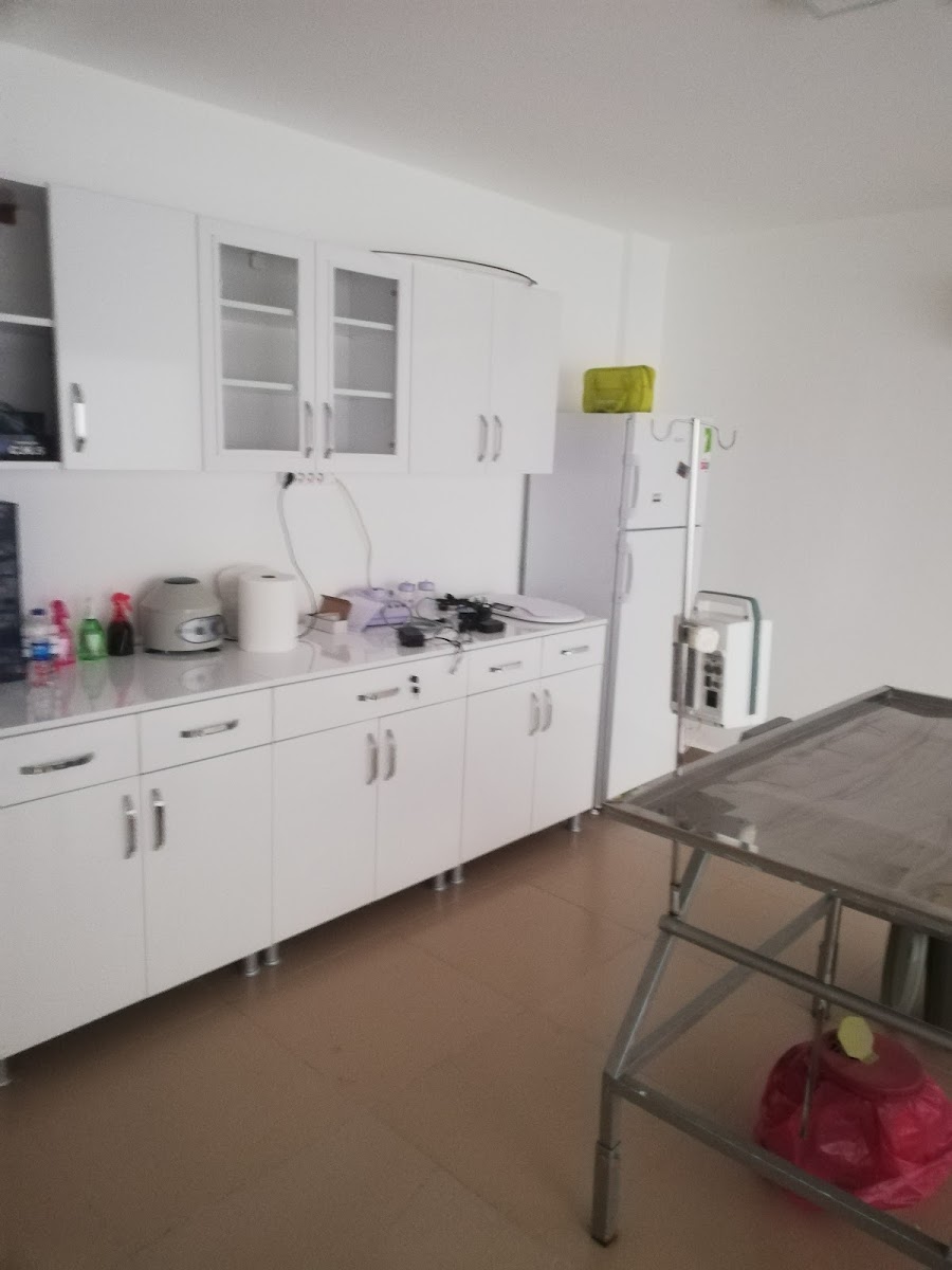 Pamphylıa Veteriner Kliniği Sağlık hizmetleri Manavgat