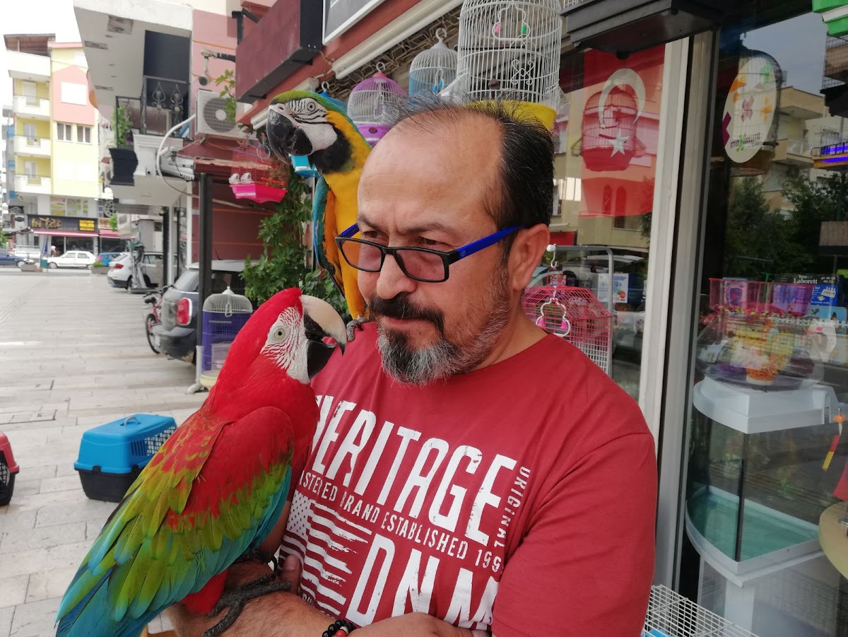 Pet Shop Clinic Sağlık hizmetleri Manavgat