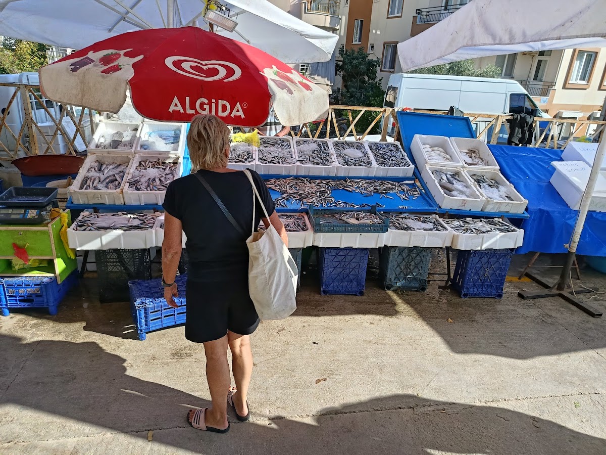 Sarılar Belediyesi Kurumlar hizmetleri Manavgat