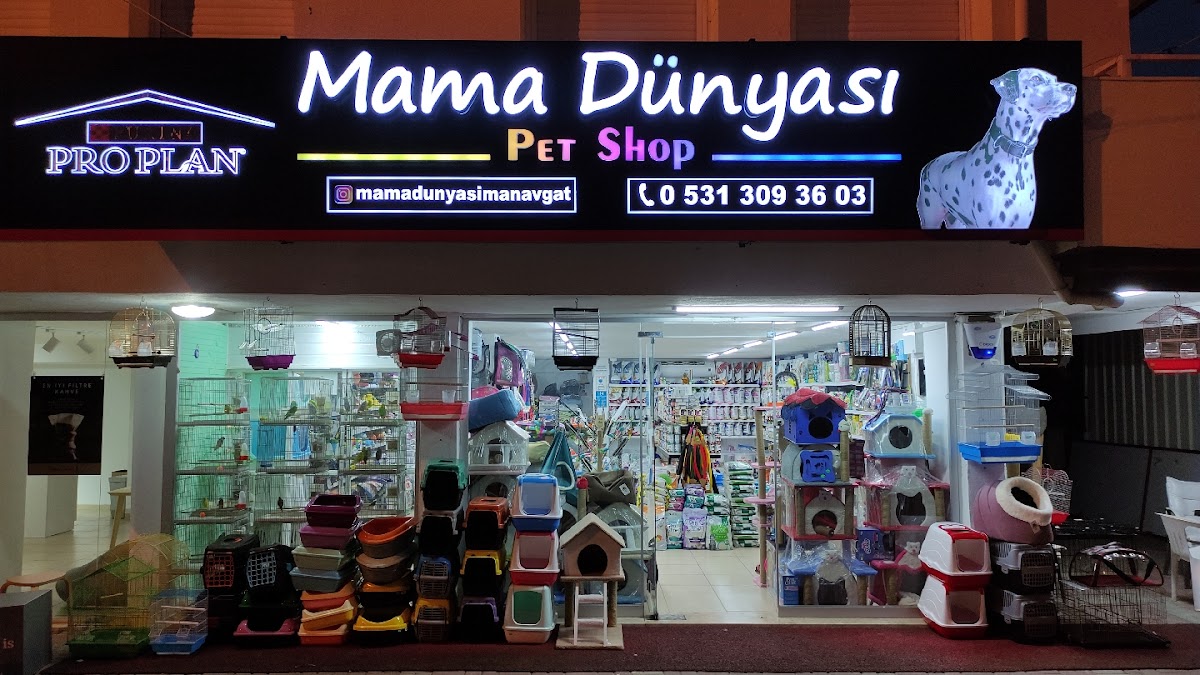 Tetra Akvaryum Manavgat