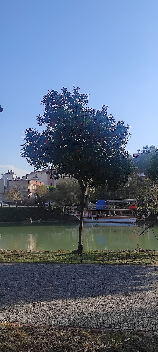 Türk Eğitimsen 2 Nolu Şube Manavgat